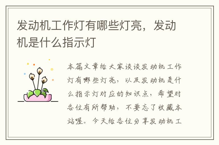 发动机工作灯有哪些灯亮,发动机是什么指示灯