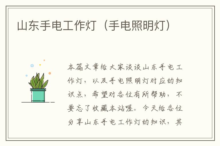 山东手电工作灯(手电照明灯)