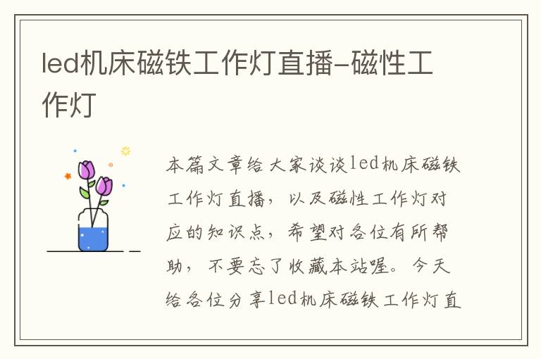 led机床磁铁工作灯直播-磁性工作灯