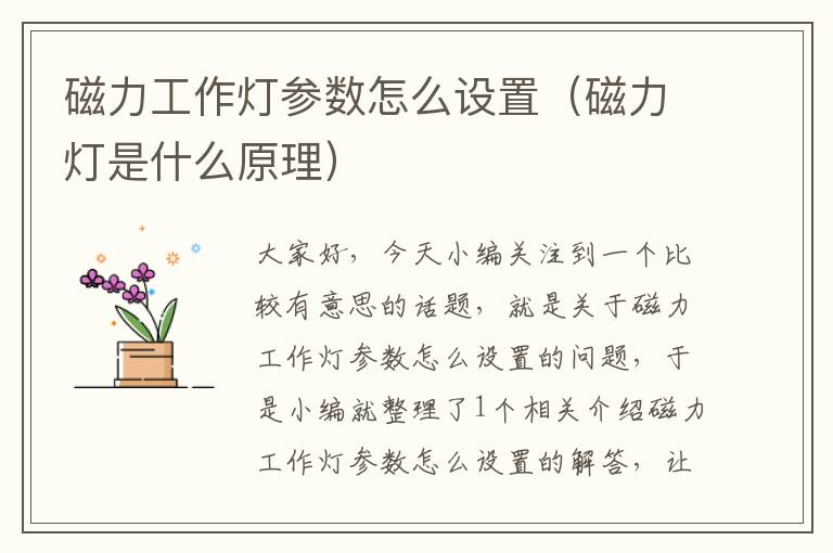 磁力工作灯参数怎么设置(磁力灯是什么原理)