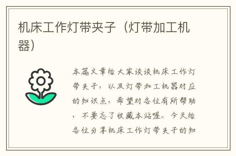 机床工作灯带夹子(灯带加工机器)