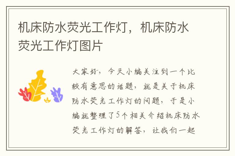 机床防水荧光工作灯,机床防水荧光工作灯图片
