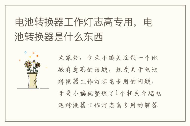 电池转换器工作灯志高专用,电池转换器是什么东西