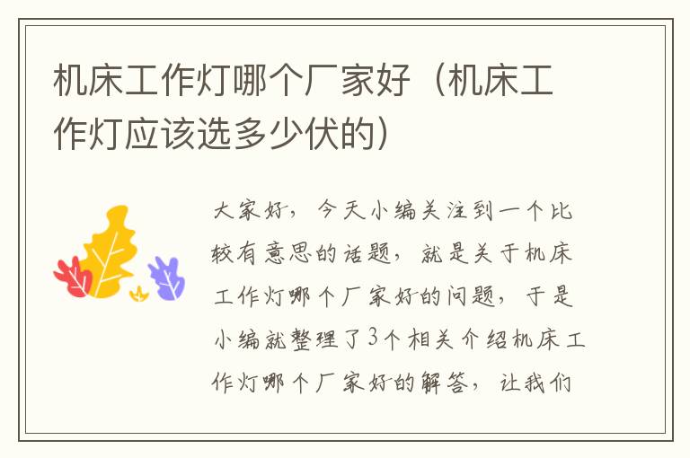 机床工作灯哪个厂家好(机床工作灯应该选多少伏的)