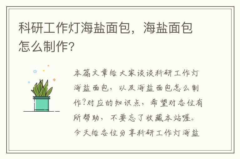 科研工作灯海盐面包,海盐面包怎么制作?