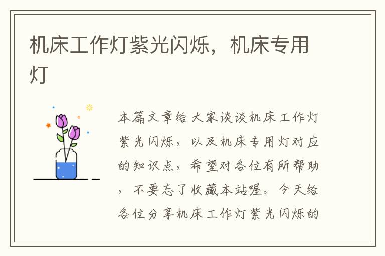 机床工作灯紫光闪烁,机床专用灯