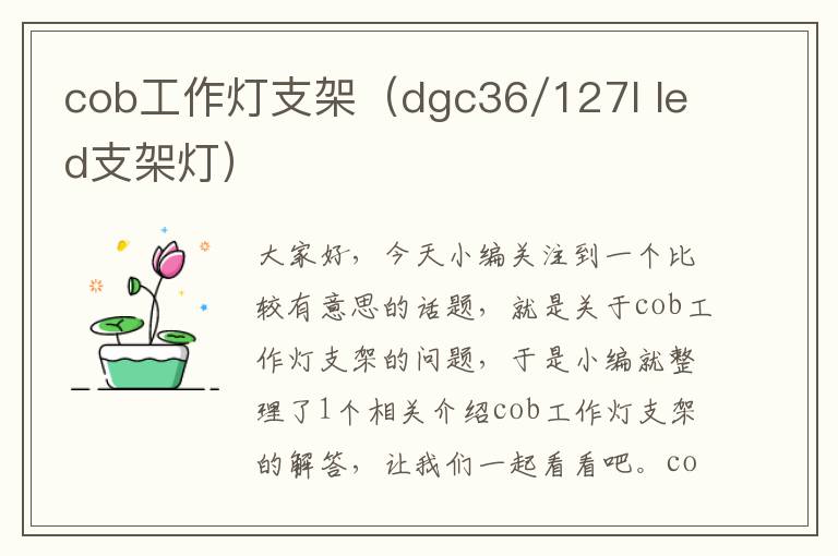 cob工作灯支架(dgc36/127l led支架灯)