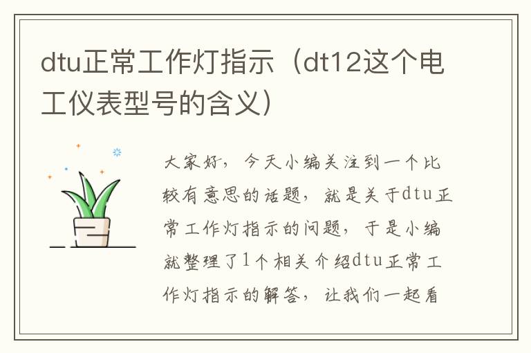 dtu正常工作灯指示(dt12这个电工仪表型号的含义)