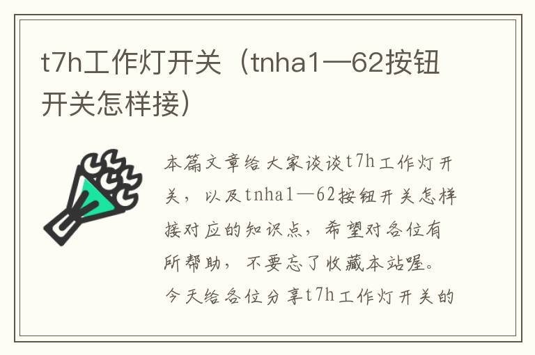 t7h工作灯开关(tnha1—62按钮开关怎样接)