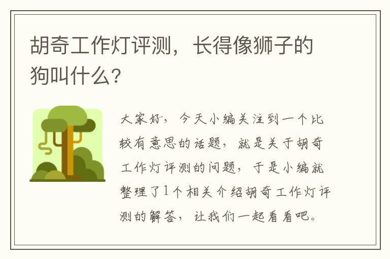 胡奇工作灯评测,长得像狮子的狗叫什么?