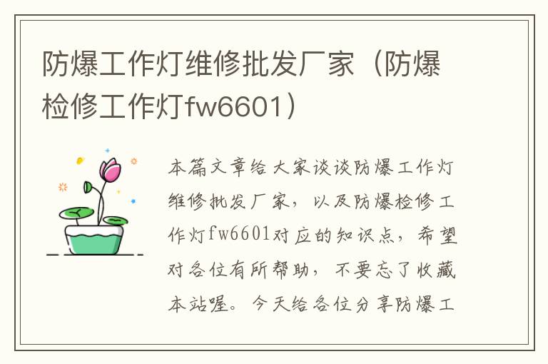 防爆工作灯维修批发厂家(防爆检修工作灯fw6601)