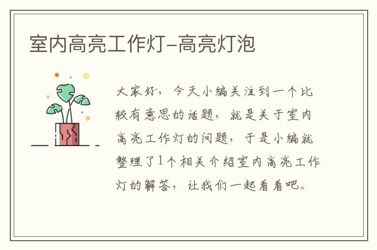 室内高亮工作灯-高亮灯泡