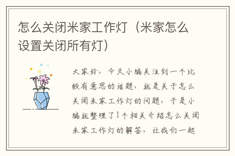 怎么关闭米家工作灯(米家怎么设置关闭所有灯)