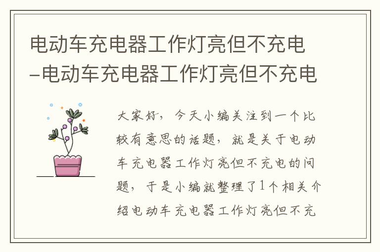 电动车充电器工作灯亮但不充电-电动车充电器工作灯亮但不充电什么原因