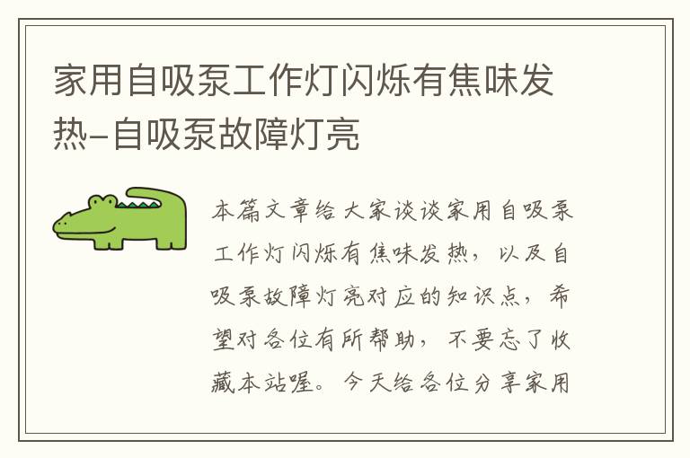 家用自吸泵工作灯闪烁有焦味发热-自吸泵故障灯亮