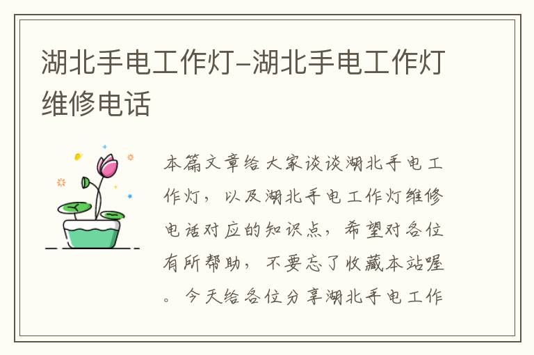 湖北手电工作灯-湖北手电工作灯维修电话