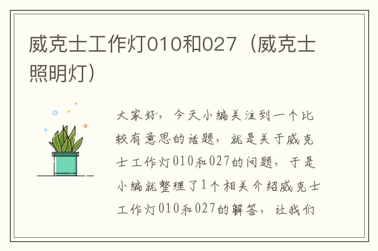 威克士工作灯010和027(威克士照明灯)