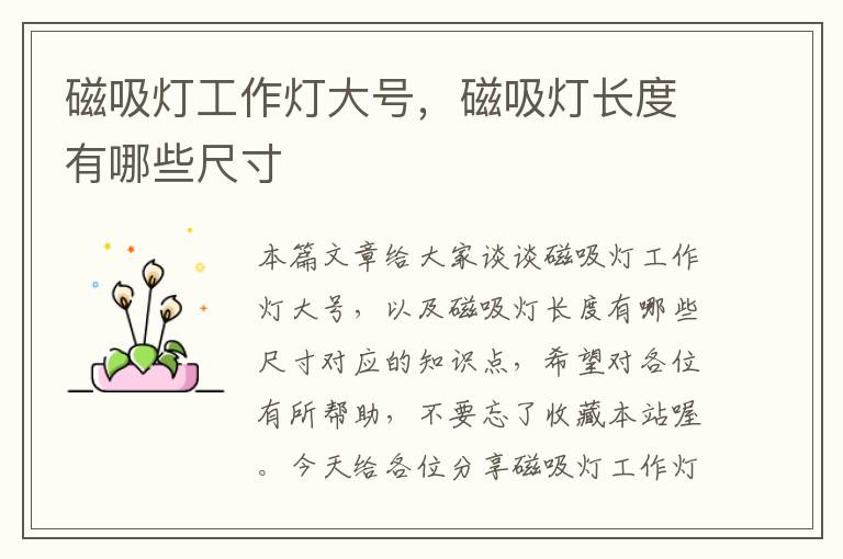 磁吸灯工作灯大号,磁吸灯长度有哪些尺寸
