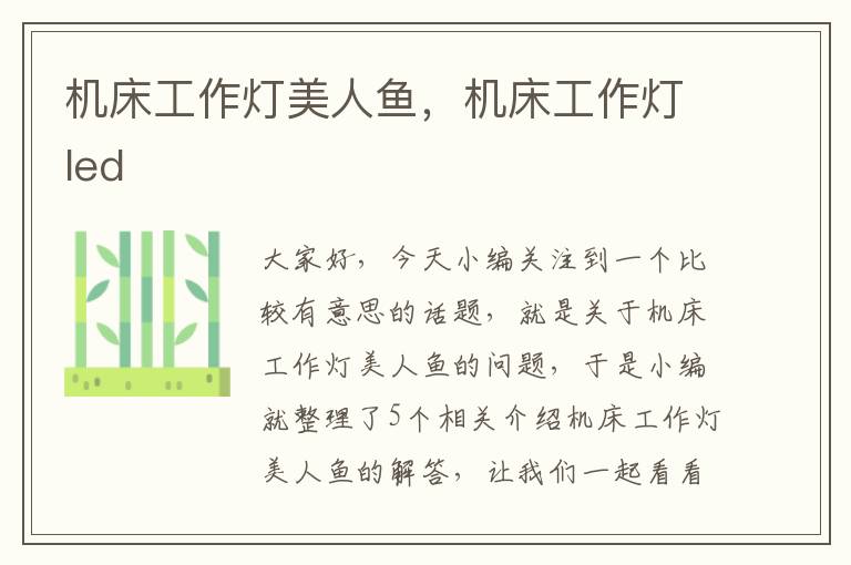 机床工作灯美人鱼,机床工作灯led