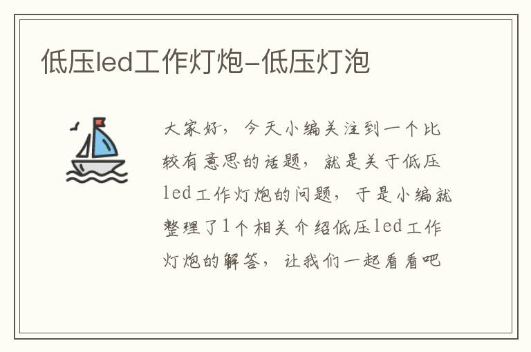 低压led工作灯炮-低压灯泡