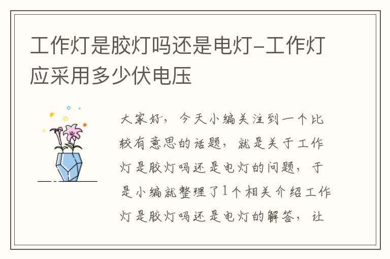 工作灯是胶灯吗还是电灯-工作灯应采用多少伏电压
