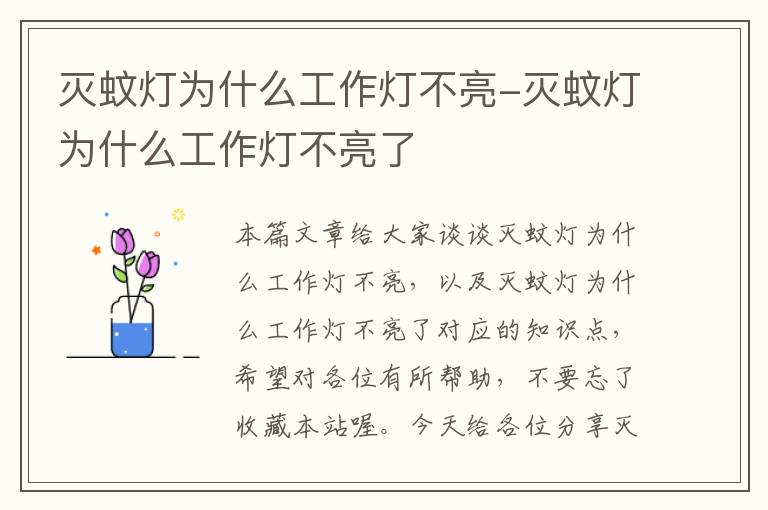 灭蚊灯为什么工作灯不亮-灭蚊灯为什么工作灯不亮了