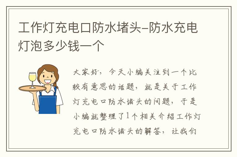 工作灯充电口防水堵头-防水充电灯泡多少钱一个