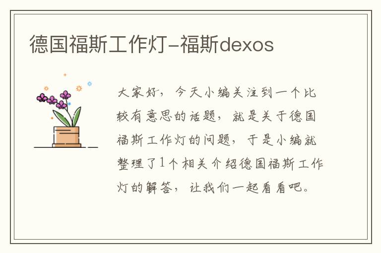 德国福斯工作灯-福斯dexos