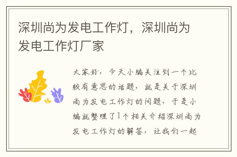 深圳尚为发电工作灯,深圳尚为发电工作灯厂家