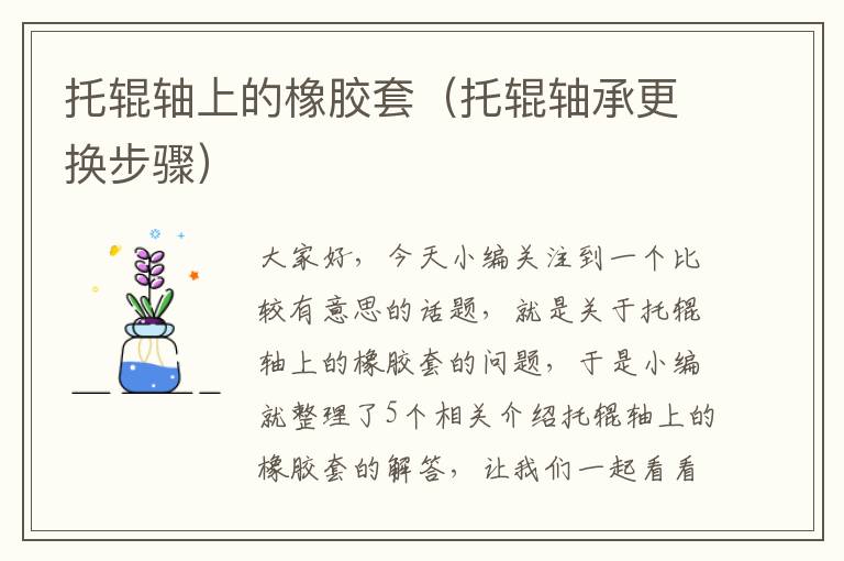 托辊轴上的橡胶套(托辊轴承更换步骤)