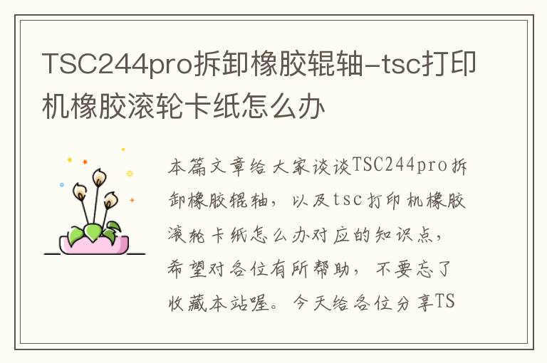 TSC244pro拆卸橡胶辊轴-tsc打印机橡胶滚轮卡纸怎么办