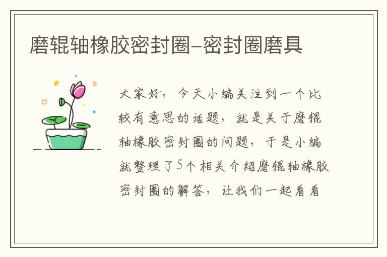 磨辊轴橡胶密封圈-密封圈磨具