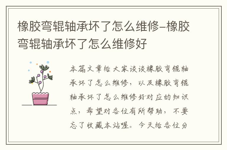 橡胶弯辊轴承坏了怎么维修-橡胶弯辊轴承坏了怎么维修好