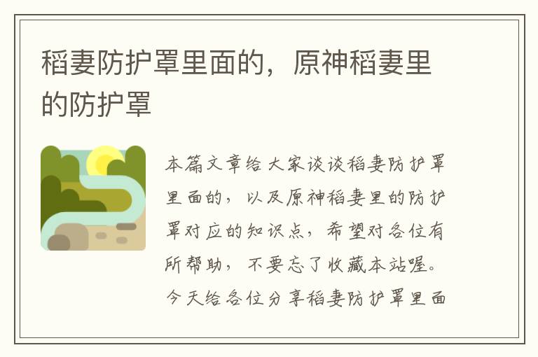 稻妻防护罩里面的，原神稻妻里的防护罩