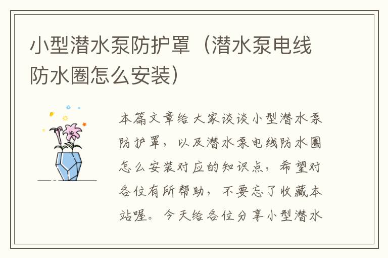 小型潜水泵防护罩(潜水泵电线防水圈怎么安装)