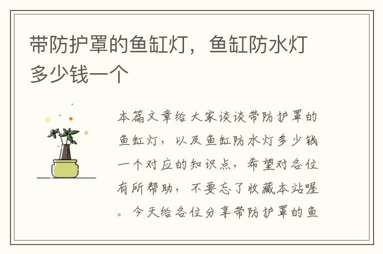 带防护罩的鱼缸灯,鱼缸防水灯多少钱一个