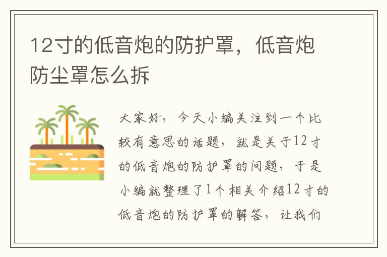 12寸的低音炮的防护罩,低音炮防尘罩怎么拆