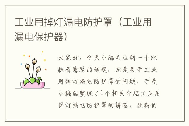 工业用掉灯漏电防护罩(工业用漏电保护器)