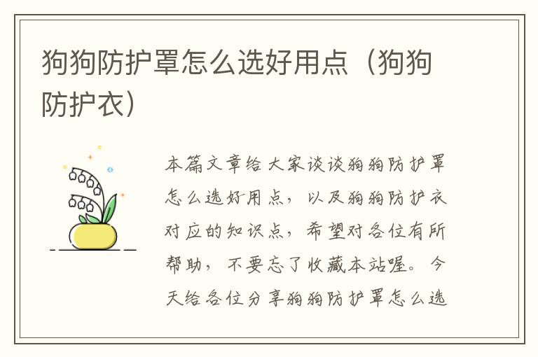 狗狗防护罩怎么选好用点(狗狗防护衣)
