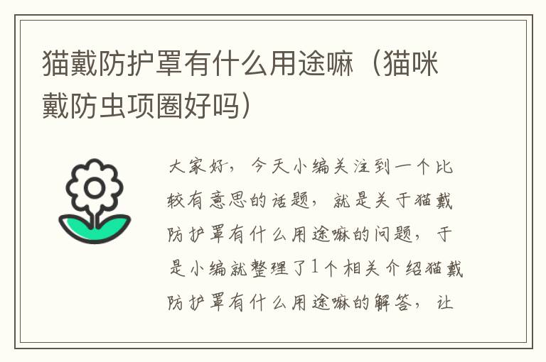 猫戴防护罩有什么用途嘛(猫咪戴防虫项圈好吗)
