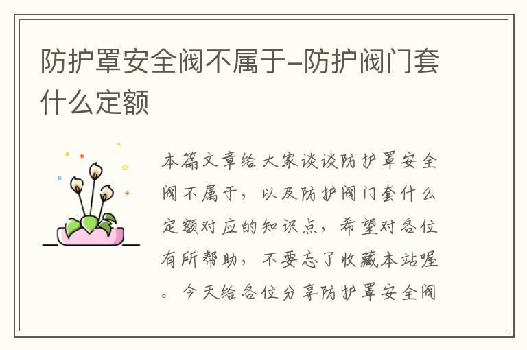 防护罩安全阀不属于-防护阀门套什么定额
