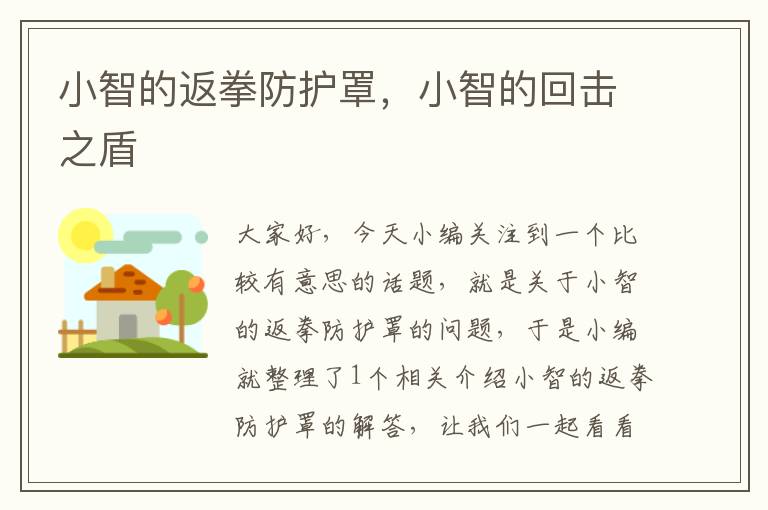 小智的返拳防护罩,小智的回击之盾