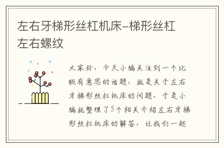 左右牙梯形丝杠机床-梯形丝杠 左右螺纹