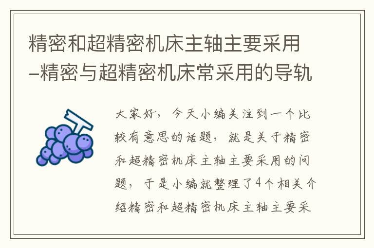精密和超精密机床主轴主要采用-精密与超精密机床常采用的导轨有