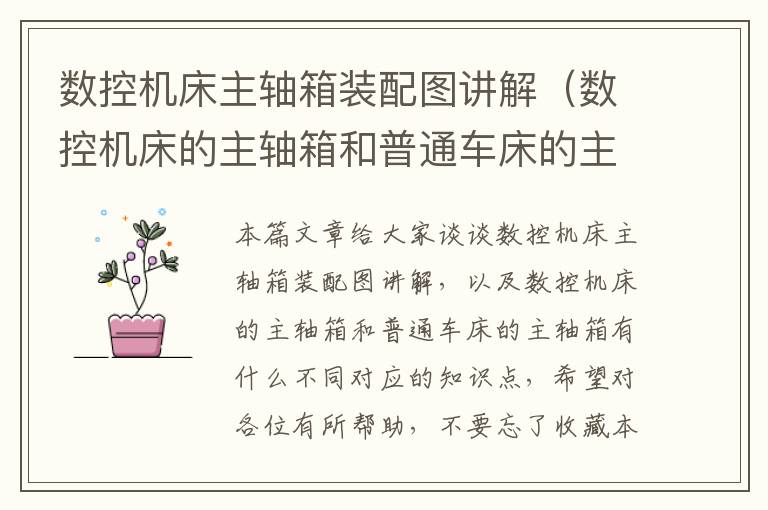 数控机床主轴箱装配图讲解(数控机床的主轴箱和普通车床的主轴箱有什么不同)