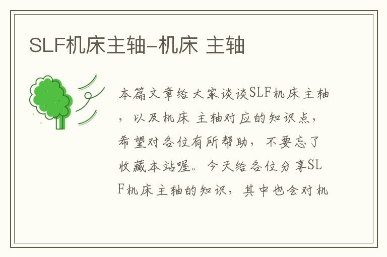 SLF机床主轴-机床 主轴