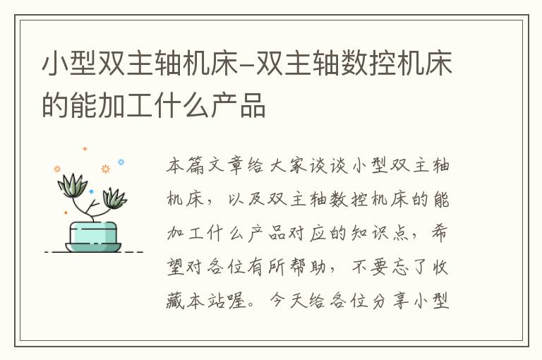 小型双主轴机床-双主轴数控机床的能加工什么产品