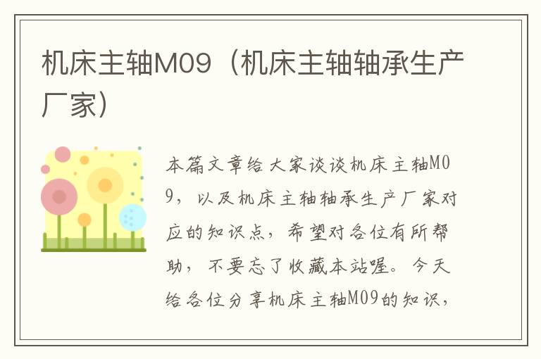 机床主轴M09(机床主轴轴承生产厂家)