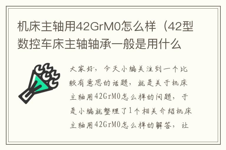 机床主轴用42GrM0怎么样(42型数控车床主轴轴承一般是用什么的)