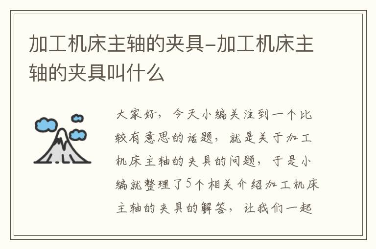 加工机床主轴的夹具-加工机床主轴的夹具叫什么